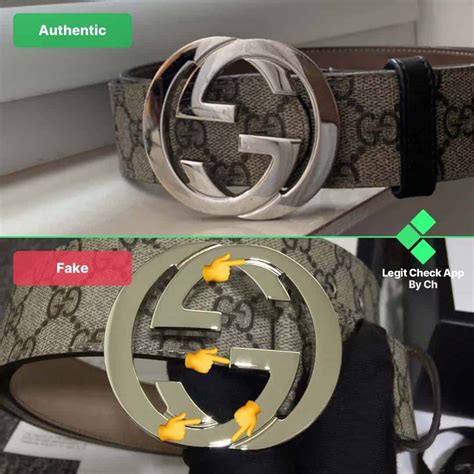 fake gucci supreme belt